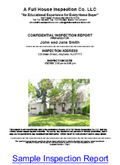 Sample Inspection Report