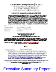 Example Summary Report