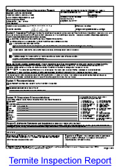 Termite Inspection Report